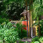 Pestana Village Garden
